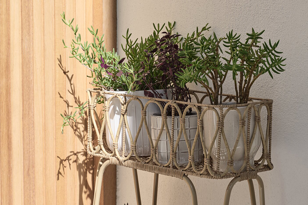Pots de fleurs