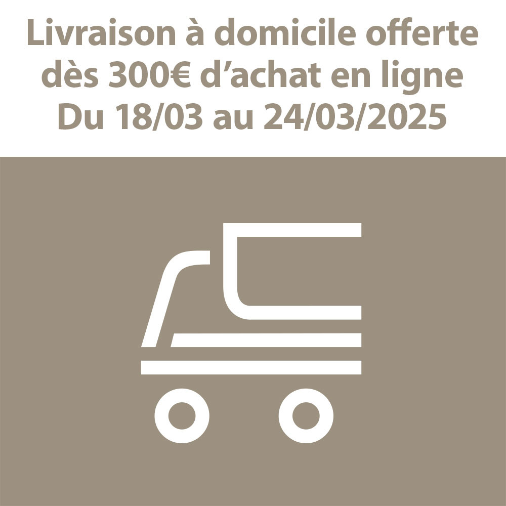 Livraison offerte dès 300€ d'achat en ligne