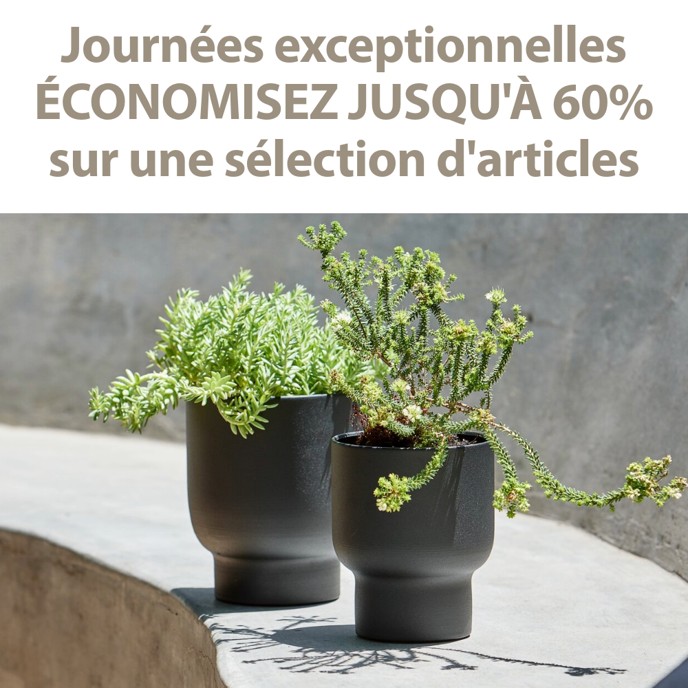 Journées exceptionnelles