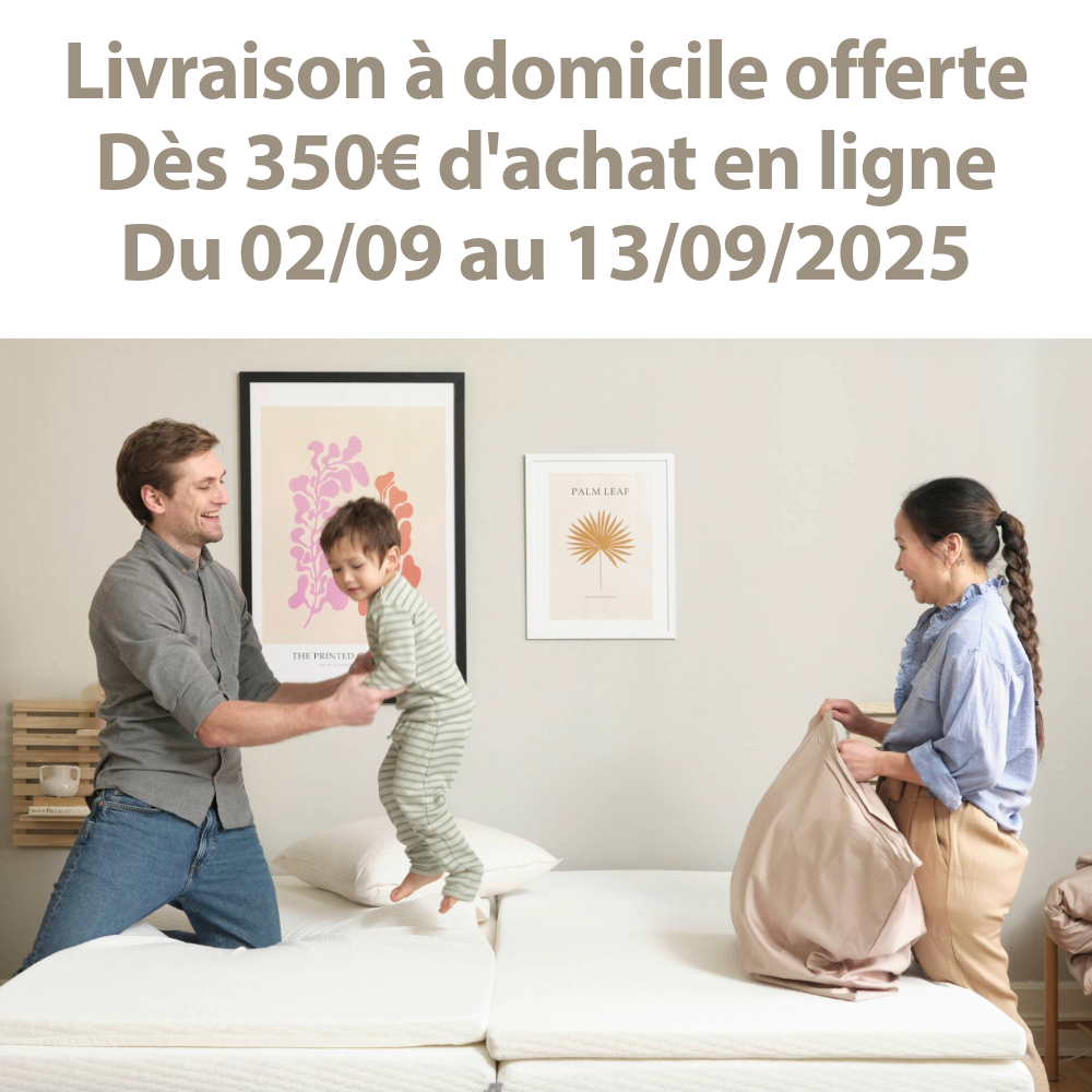 Livraison offerte dès 350€ d'achat en ligne