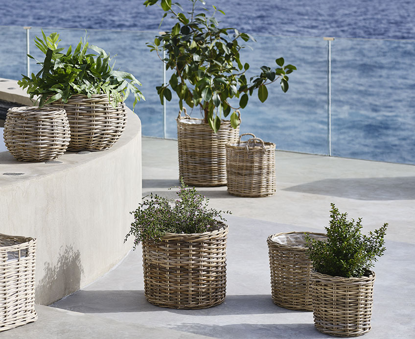 Pots de fleurs de différentes tailles sur un balcon